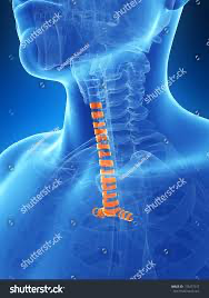 <p><span>Name this structure</span></p>