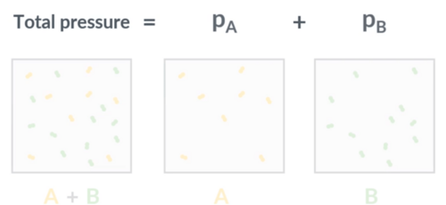 <p>The sum of the partial pressures of each (individual) gas</p>
