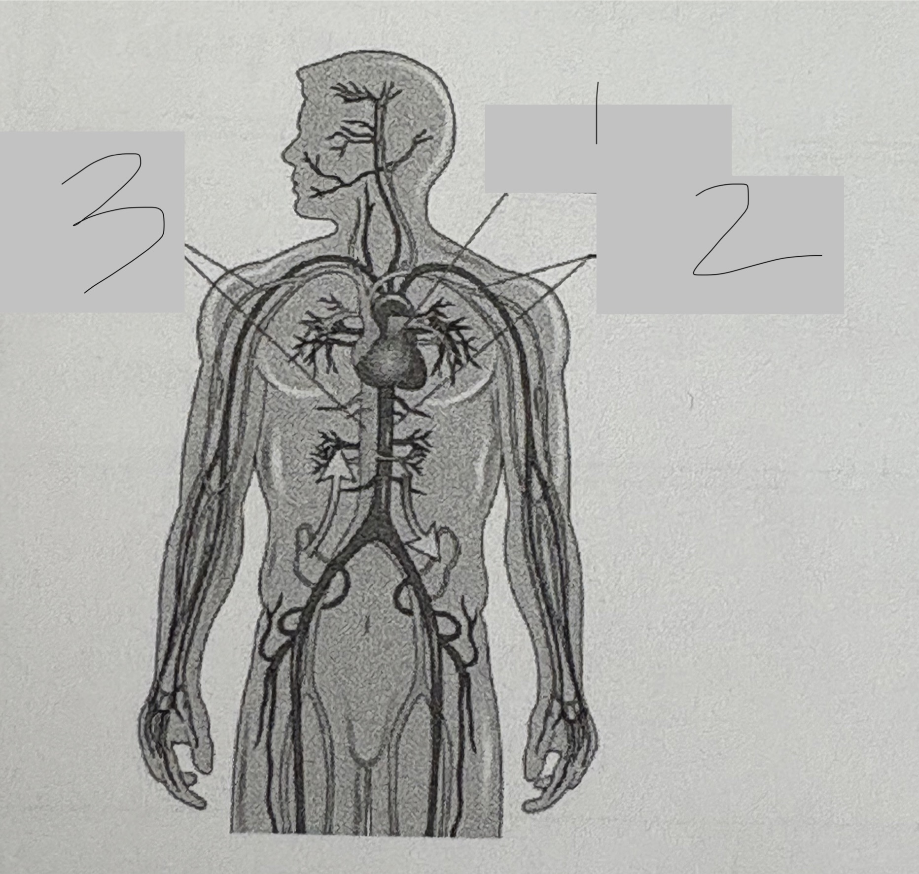 <p>1</p>