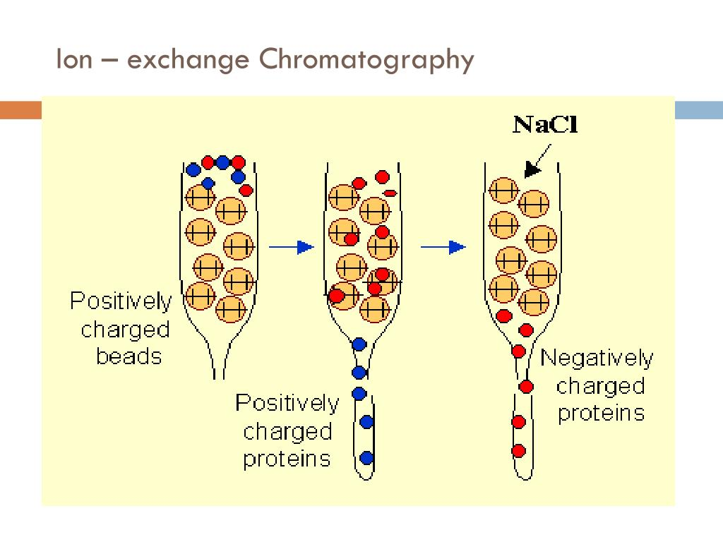 ion-exchange chromatography
