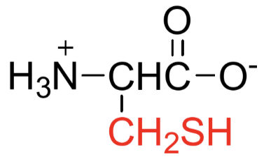 <p>Name, Type (A/N/B), Polarity</p>