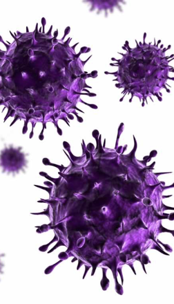 <p>What Acellular host is this? </p>