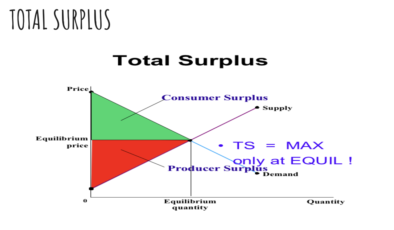 <p>Total surplus is maximised at equilibrium. </p>