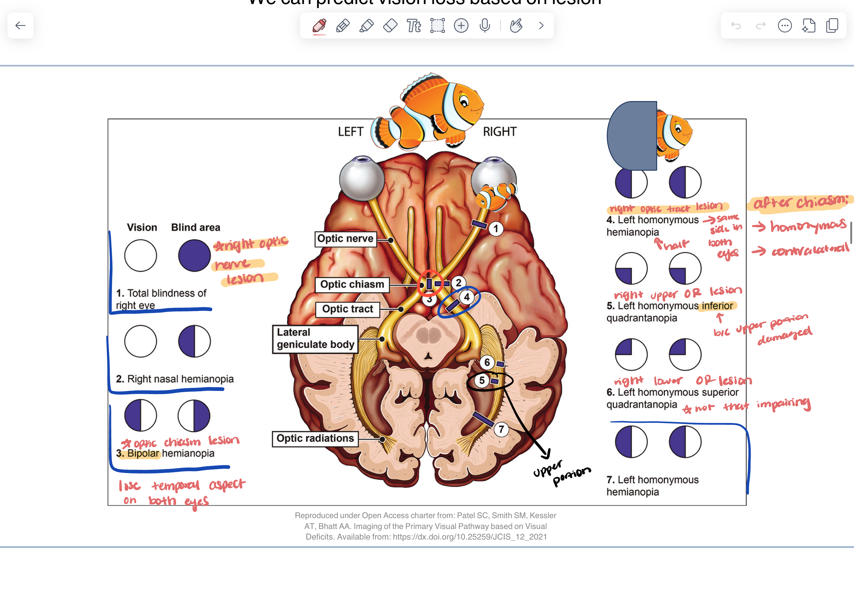 knowt flashcard image