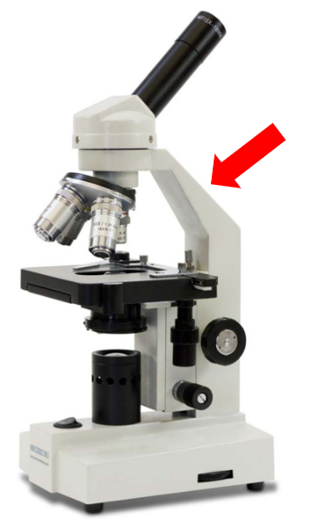 <p>What is this part called?</p>