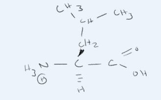 <p>What amino acid is this?</p>