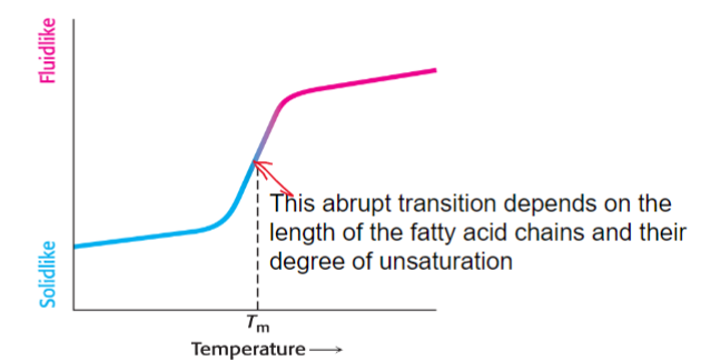 <ol><li><p>the length of the fatty acids in the membrane lipid</p></li></ol><ol start="2"><li><p>the degree of cis unsaturation</p></li></ol>