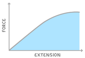 <p>This is a force extension graph. What does the area under the curve tell us?</p>