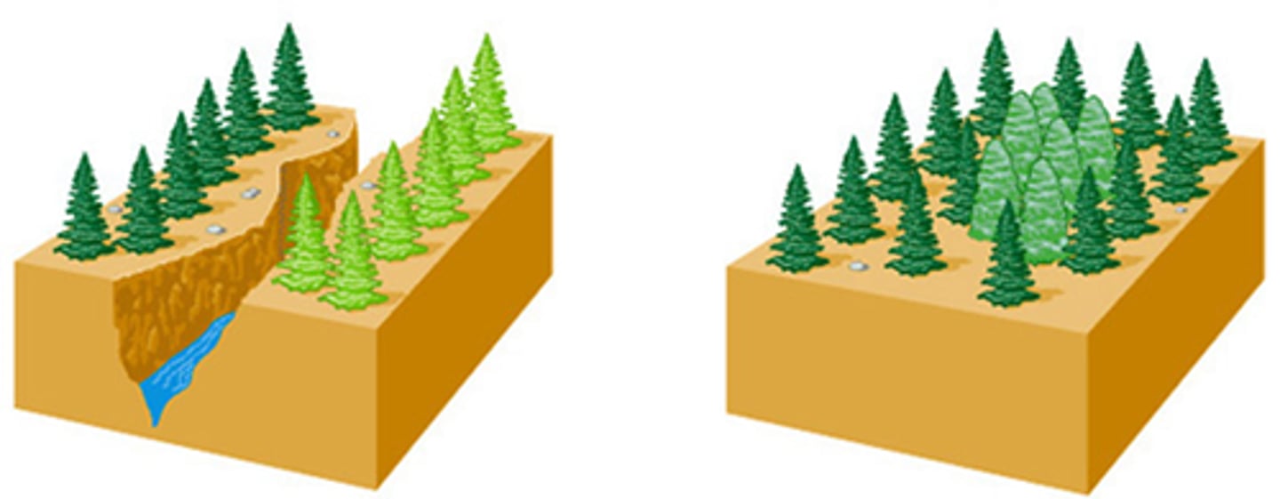 <p>to move or force something or someone out of its usual place or position</p>