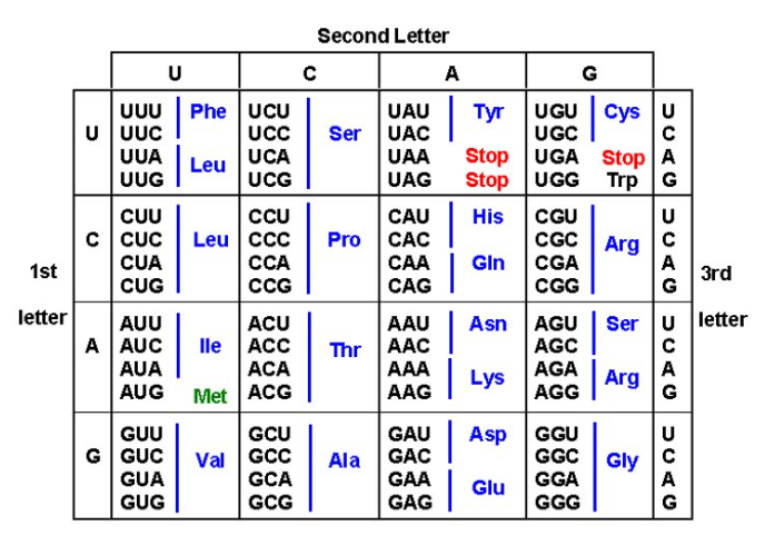 <p>end translation</p>