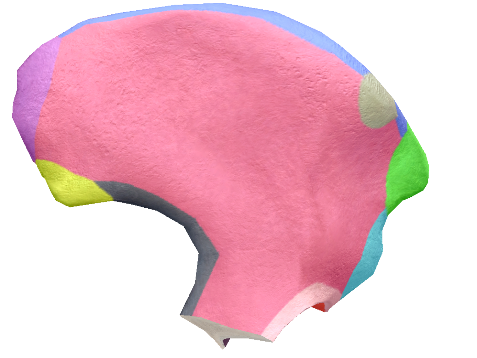 term image