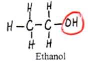 <p>alcohols (example: ethanol)</p>