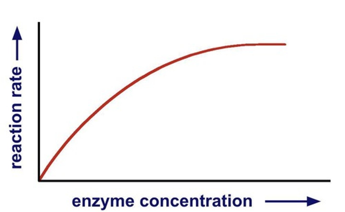 <p>Higher concentration increases reaction rate.</p>