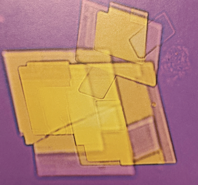 term image