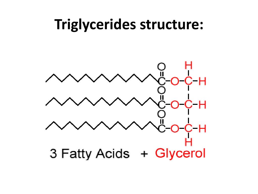Triglyreride diagram