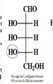 <p>L-Configuration</p>