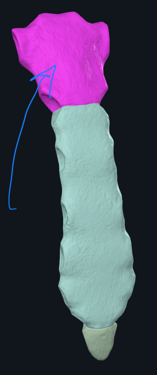 <p>What is this?</p>