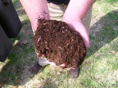 nonliving organic matter; typically includes decaying dead organisms as well as fecal matter