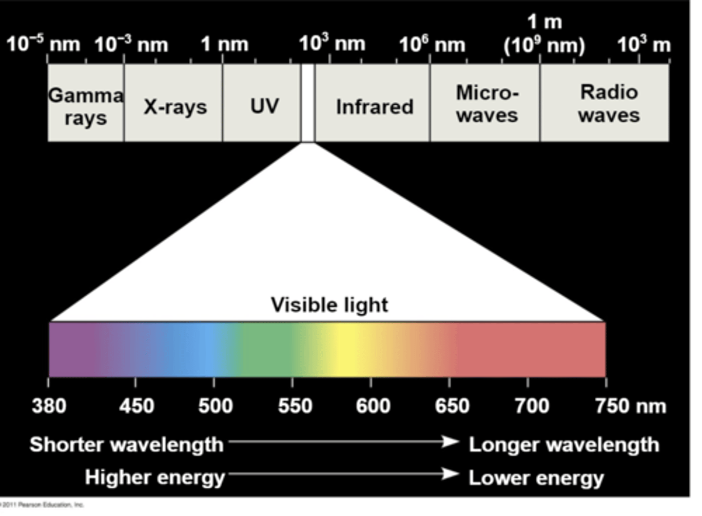 <p>What does visible light mean?</p>