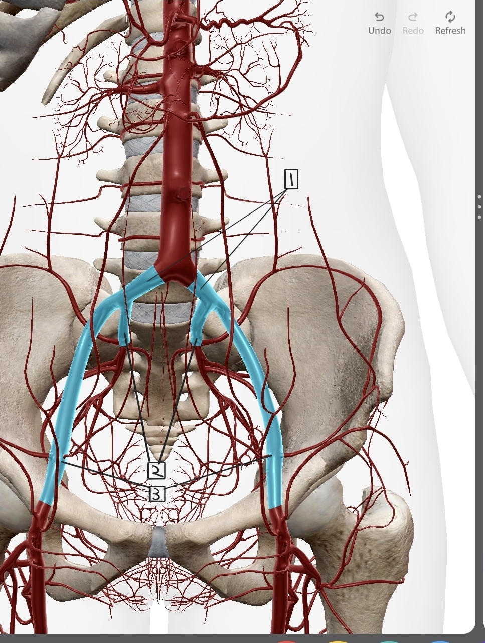 <p>What are these?</p>