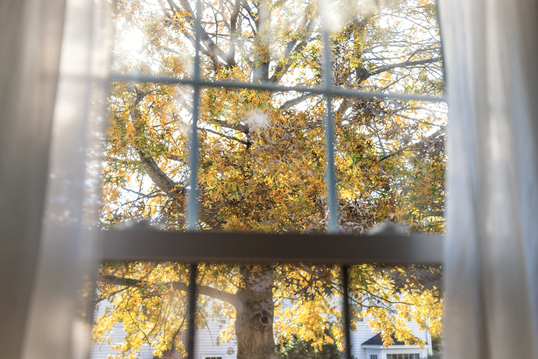 <p>The passing of light through a material. </p>
