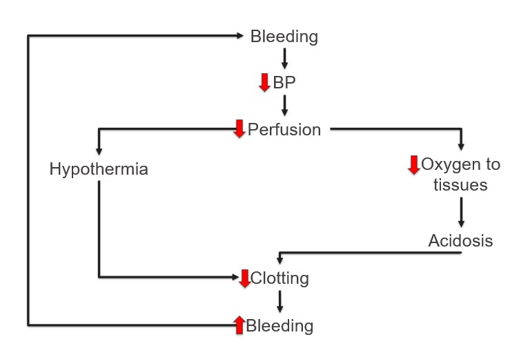 <p>hypothermia → decreased coagulation → coagulopathy</p>