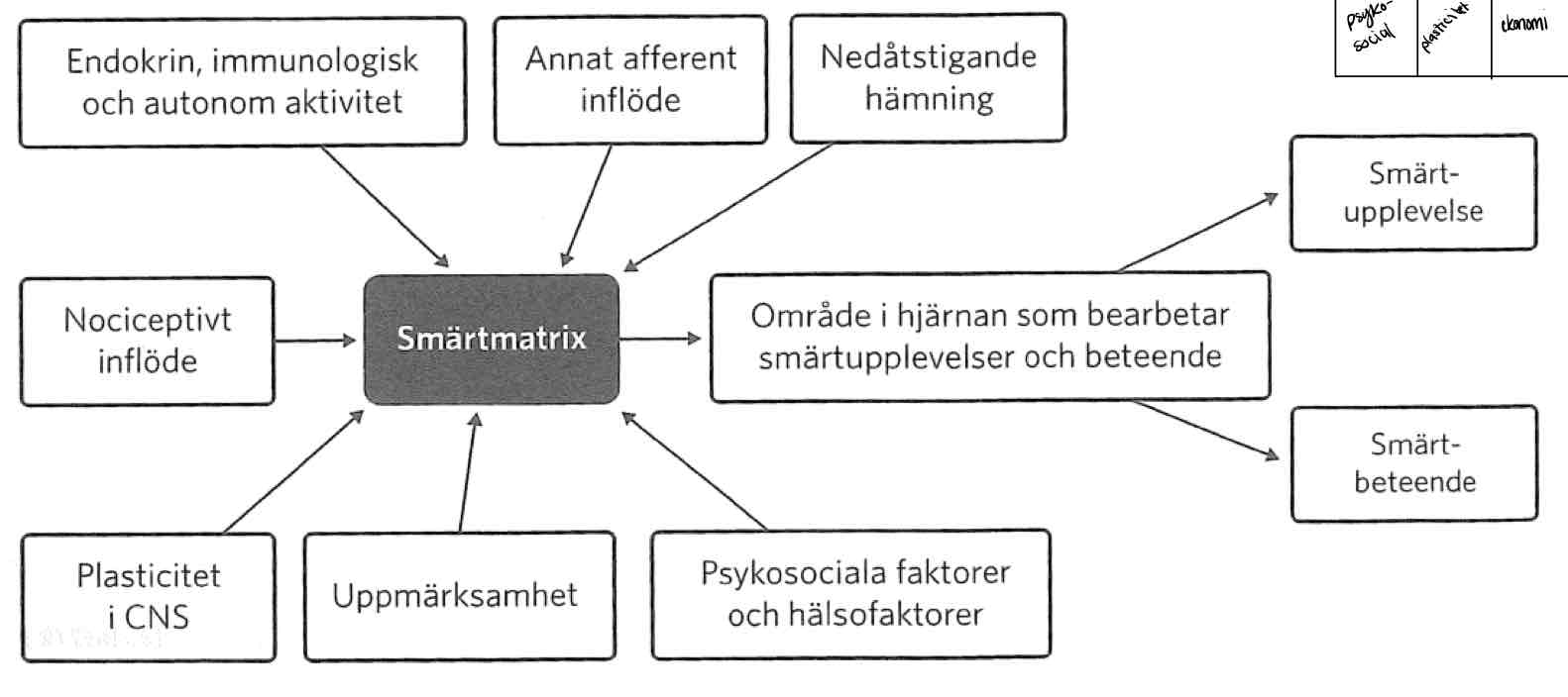 <p>Teori som utgår från en mängd inflöden (neurosignature patterns) som bestämmer tillståndet hos en smärtmatris som i sin tur har betydelse för smärtupplevelser och -beteenden.</p>