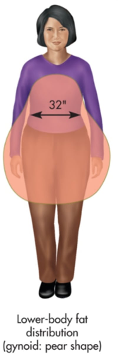 <p>"Pear shaped", around lower torso, upper legs</p>