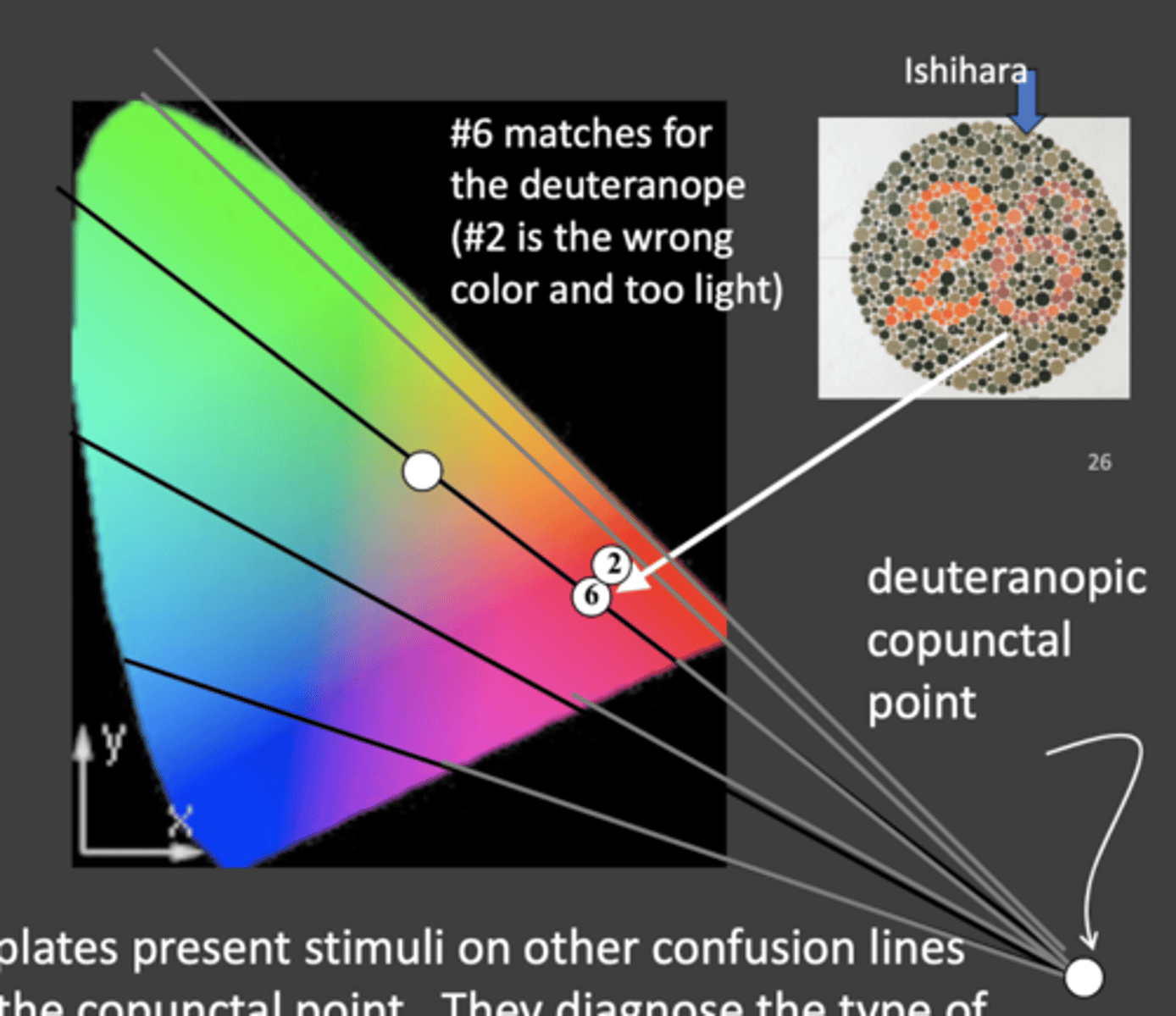 <p>uses two confusion lines from protanopes and deutanopes each and picks a neutral color that intercepts on their respective confusion lines</p><p>image - 2 will connect with the white dot with both colors and intercept at the co-punctal points</p>