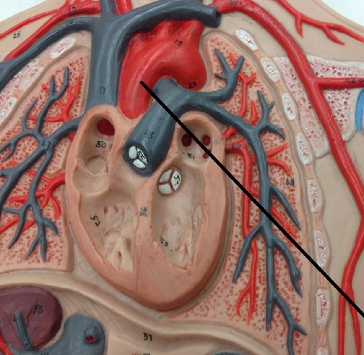 <p>What structure?</p>