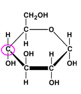 <p> Use the numbering system you learned about to number the circled carbon. </p>