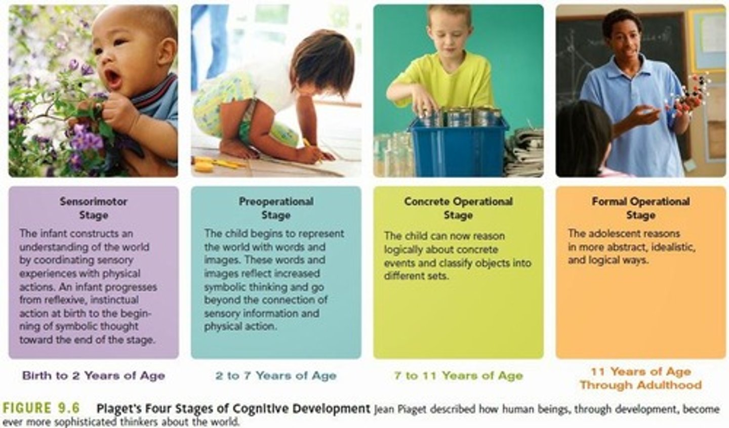<p>How children think and reason</p>