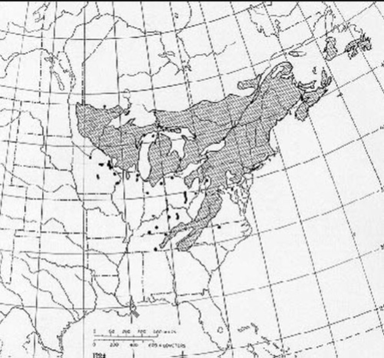 <p>what species is this?</p>