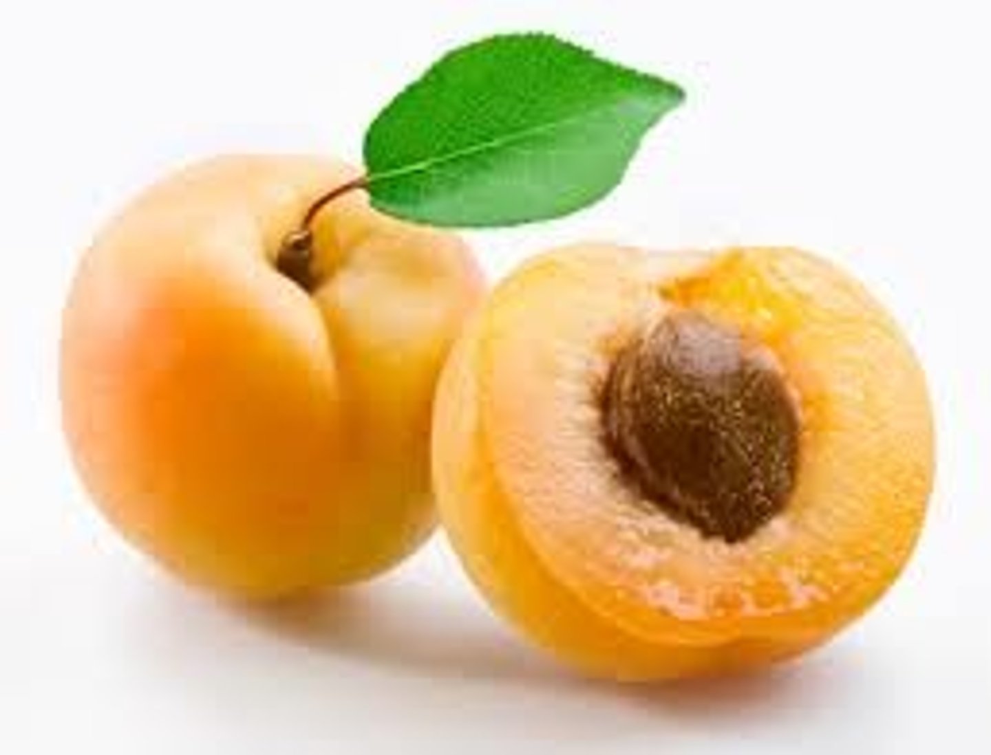 <p>Apricot</p>