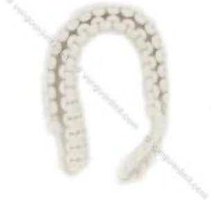 <p><em>*White</em>*</p>
