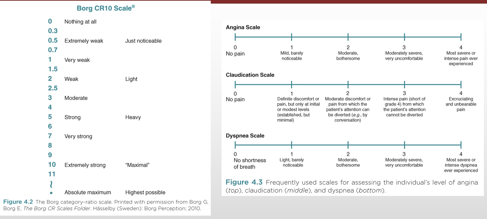 <p>-RPE: Borg</p><p>-Angina (chest pain): 2 where patient likely wants to stop test</p><p>-Claudication (peripheral vascular disease): 2-3 where&nbsp;patient likely wants to stop test; amputee if get to 4</p><p>-Dyspnea (shortness of breath)</p>