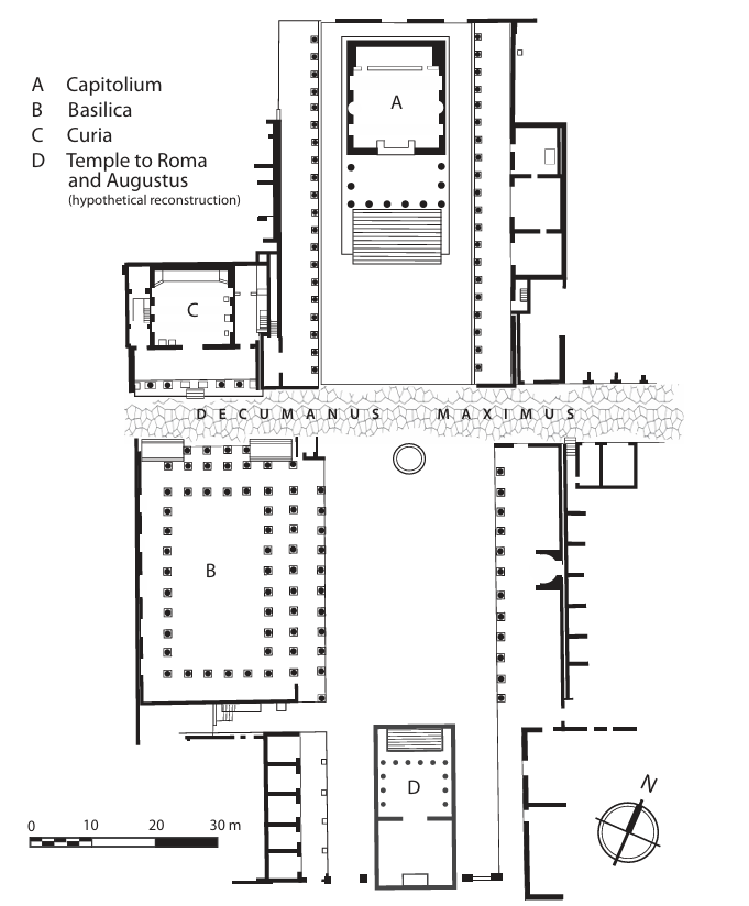 term image