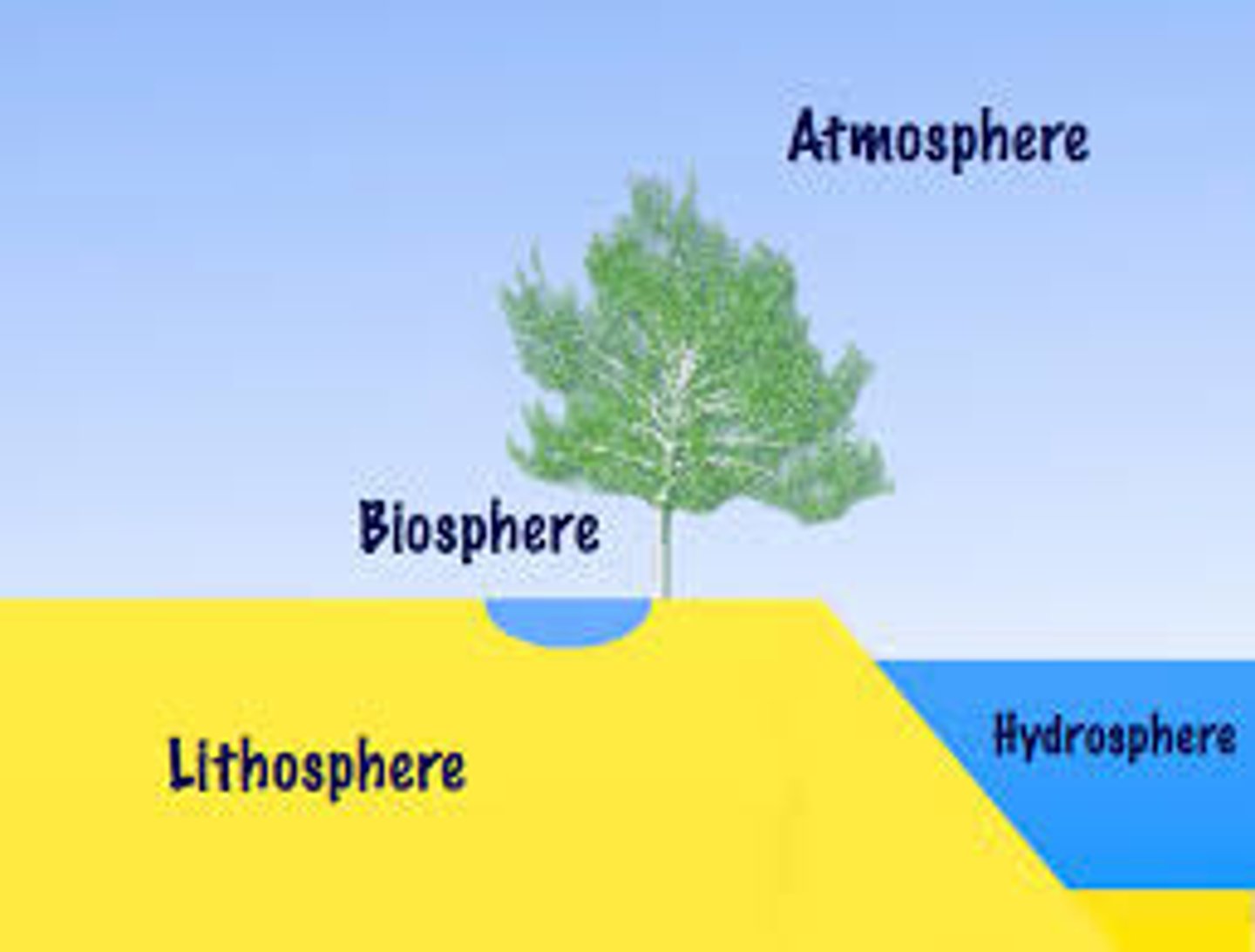 <p>atmosphere (air), lithosphere (land), biosphere (life), hydrosphere (water)</p>