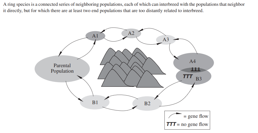 <p>4. Which two populations in the diagram above represent</p><p>the end populations?</p><p>(A) Parental population and A4</p><p>(B) Parental population and B3</p><p>(C) A1 and B1</p><p>(D) A4 and B3</p>