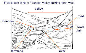 <p>How do you draw a field sketch?</p>