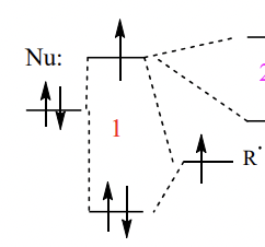 <p>interaction with lone pair increases the energy of the SOMO</p><p>= closer in energy to the empty ∏* orbital of electron poor alkene = preferential interaction </p>
