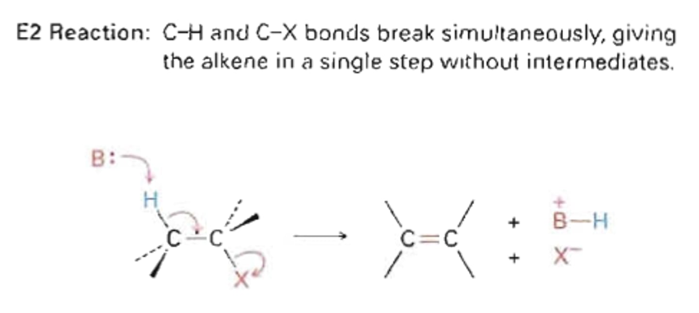 <p>-1 step</p><p>-Reaction rate is dependent on concentration of R-X and Nuc</p><p>-Weak nuc/strong base (potassium tert butoxide or LDA) for primary carbon</p><p>-Strong nuc/strong base or weak nuc/strong base for secondary and tertiary carbon</p><p>-Beta hydrogen must be anti to leaving halide</p>