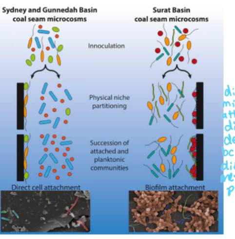 <p>Explain this and why it’s important </p>