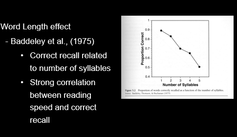 <p><span><span>•If tested using unrelated words, digits, letters, etc., around 7 items</span></span></p><p><span><span>•Word Length effect</span></span></p><p><span><span>-Baddeley et al., (1975)</span></span></p><p style="text-align: left;"><span><span>Presented lists of 5 words to write down in order</span></span></p><p style="text-align: left;"><span><span>List A: some, harm, bond, yield, hate</span></span></p><p style="text-align: left;"><span><span>List B: …</span></span></p><p style="text-align: left;"><span><span>List C: …</span></span></p><p style="text-align: left;"><span><span>List D: …</span></span></p><p style="text-align: left;"><span><span>List E: association, considerable, representative, individual, immediately</span></span></p><p style="text-align: left;"><span><span>•Word Length effect</span></span></p><p><span><span>-People only remember what they can say in around 1.5 secs</span></span></p><p><span><span>-To remember words or numbers people will generally repeat them to themselves (under their breath – “sub-vocally”)</span></span></p><p><span><span>-This is done via an “articulatory loop”</span></span></p>