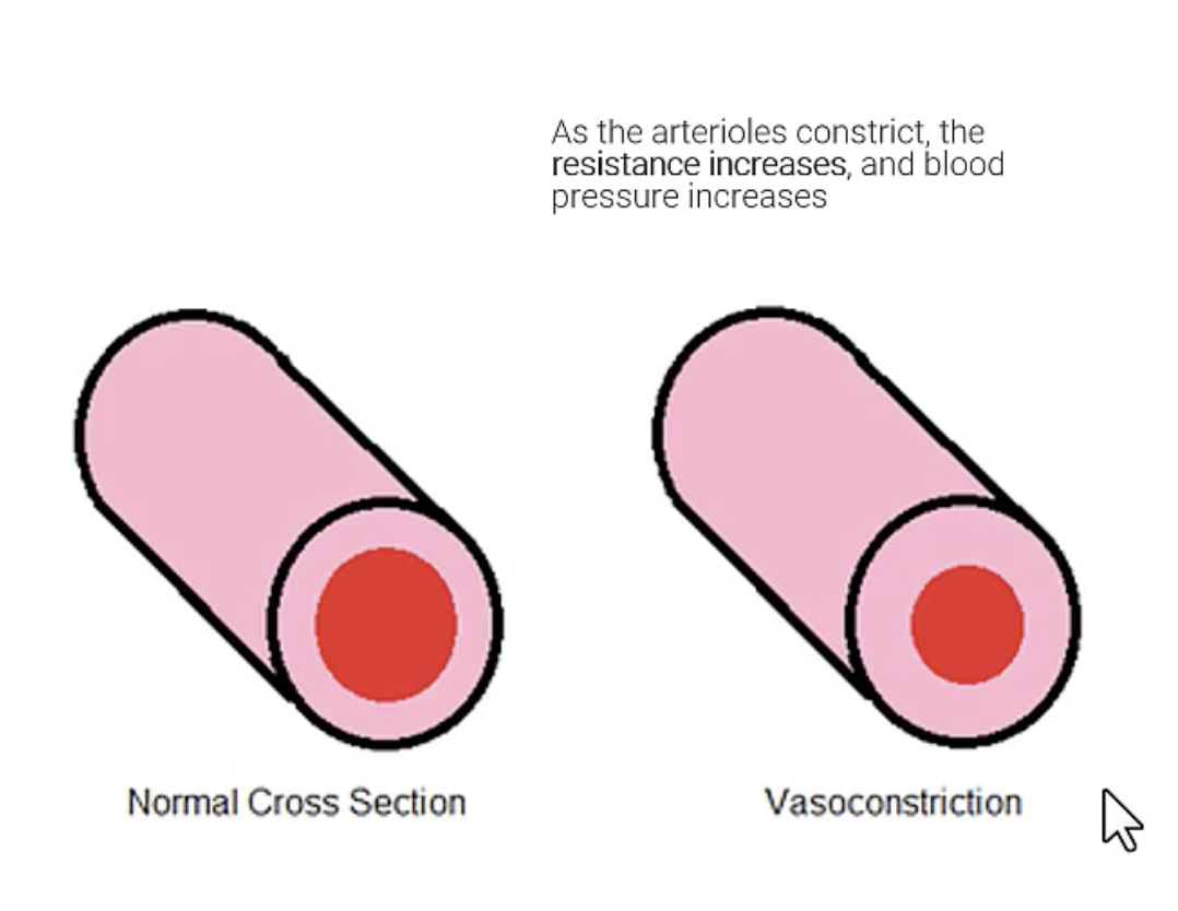 <p>When arterioles constrict, resistance increase, so <strong>blood pressure increases</strong>.</p>
