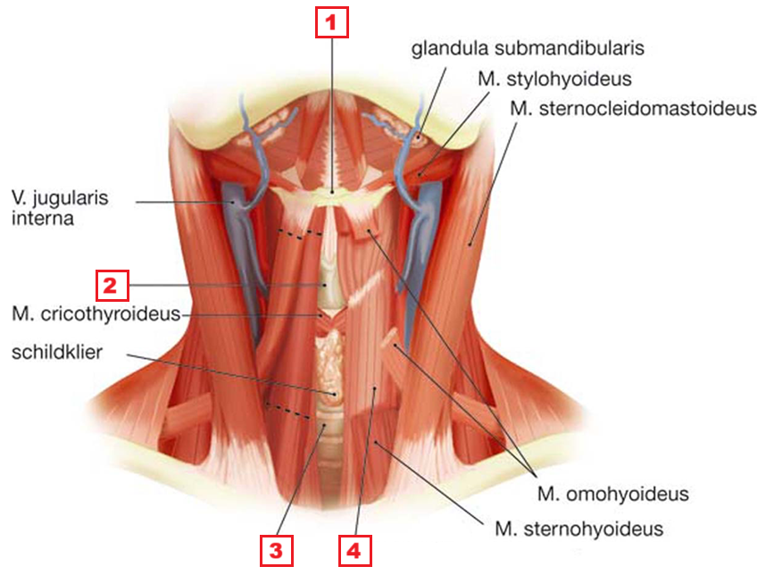 <p>2</p>