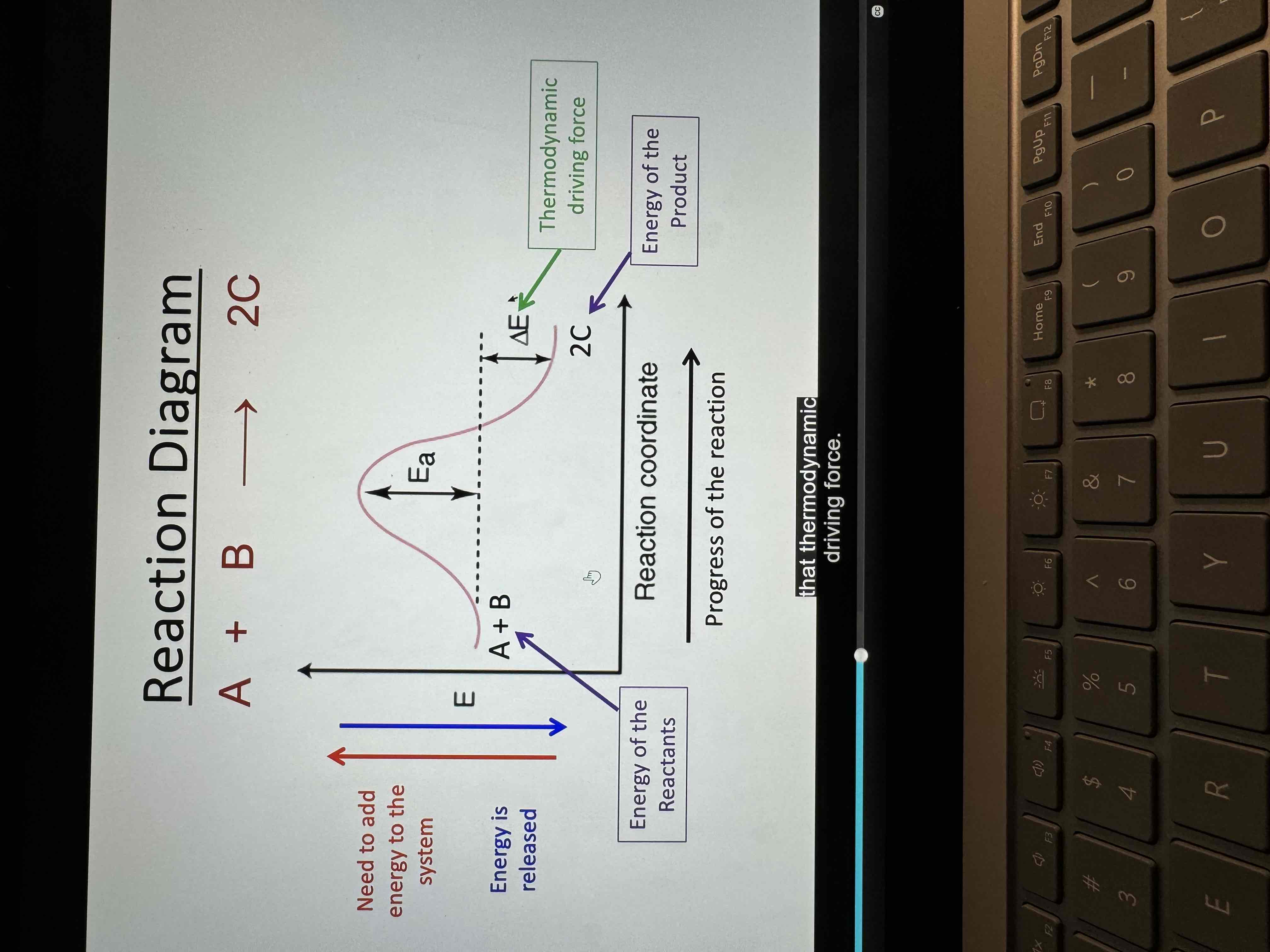 <p>Reaction diagram </p>