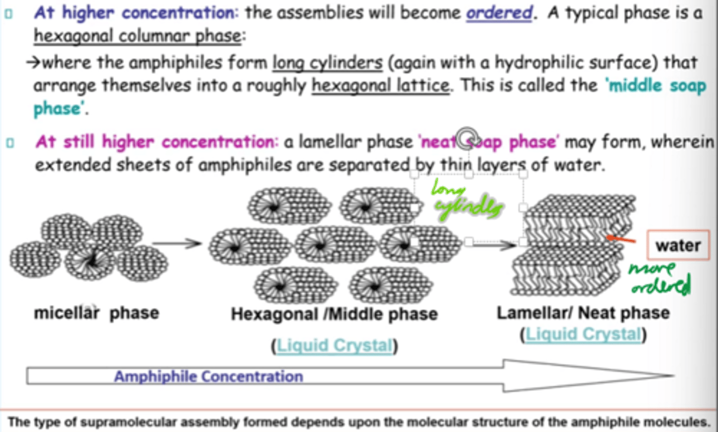 <p>Hexagonal columnar phase:</p><p>Amphiphiles (surfactant molecules) arrange into long cylinders in a hexagonal pattern</p>