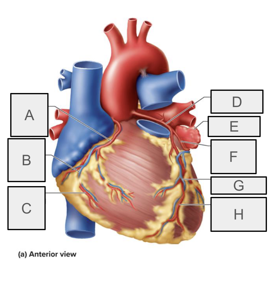 <p>What is C</p>