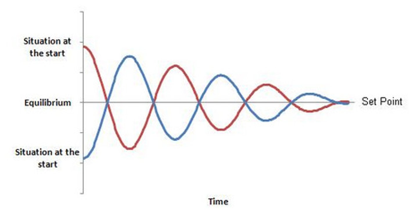 <p>Process that counteracts change</p><p>*Ensures optimum internal conditions are maintained</p>